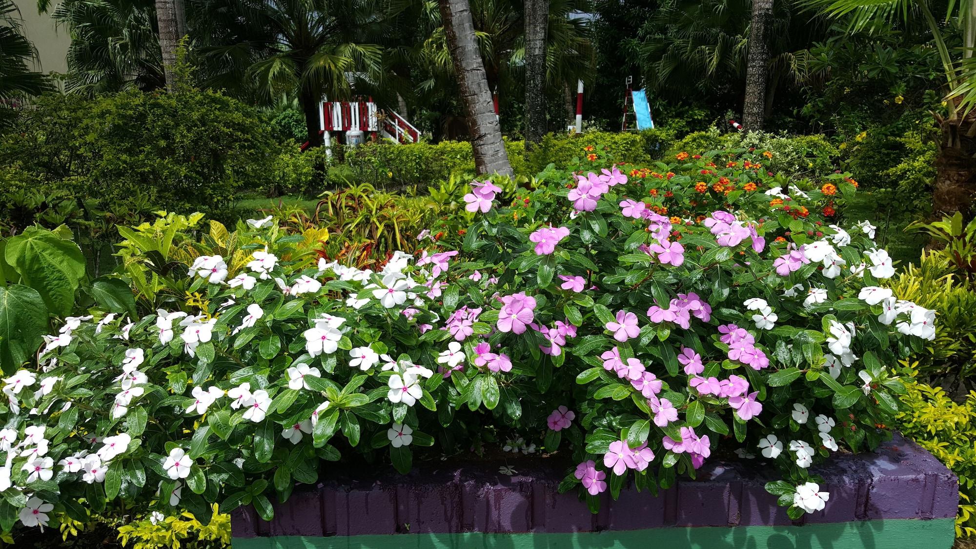 Grand West Villas Nadi Bagian luar foto